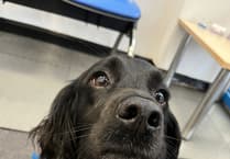 Connie's successful shock surgery